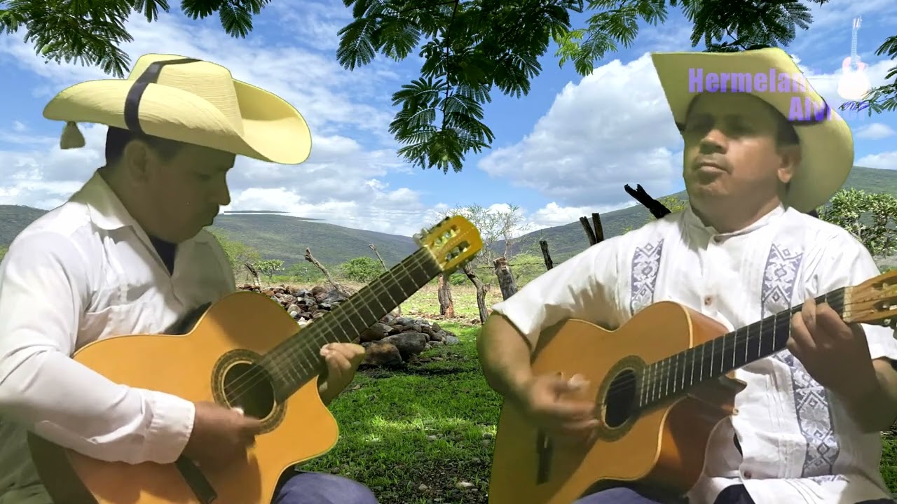 El Sube y Baja - Instrumental con Guitarras - Estilo Campirano y Sierreño de Guerrero
