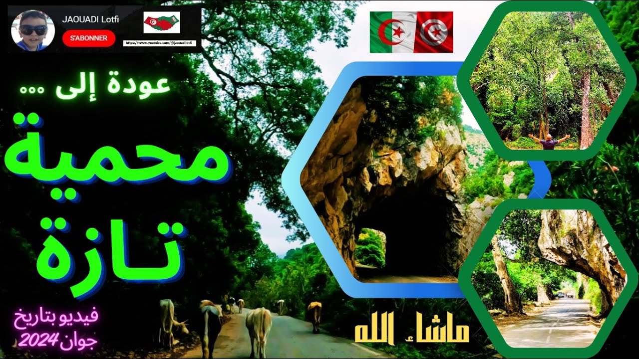 @jaouadilotfi | عودة إلى #محمية_تازة   #جيجل ... ما أروع الرجوع لهذه الجنة الطبيعية المخفية