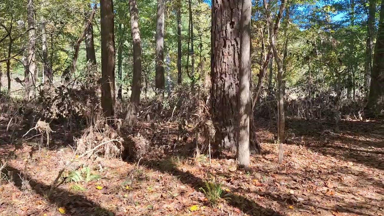 Laurel Bluffs Trail,  Eno River SP