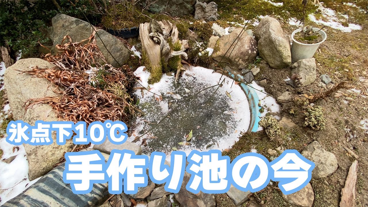 寒気到来で－10℃の池の水がやばい