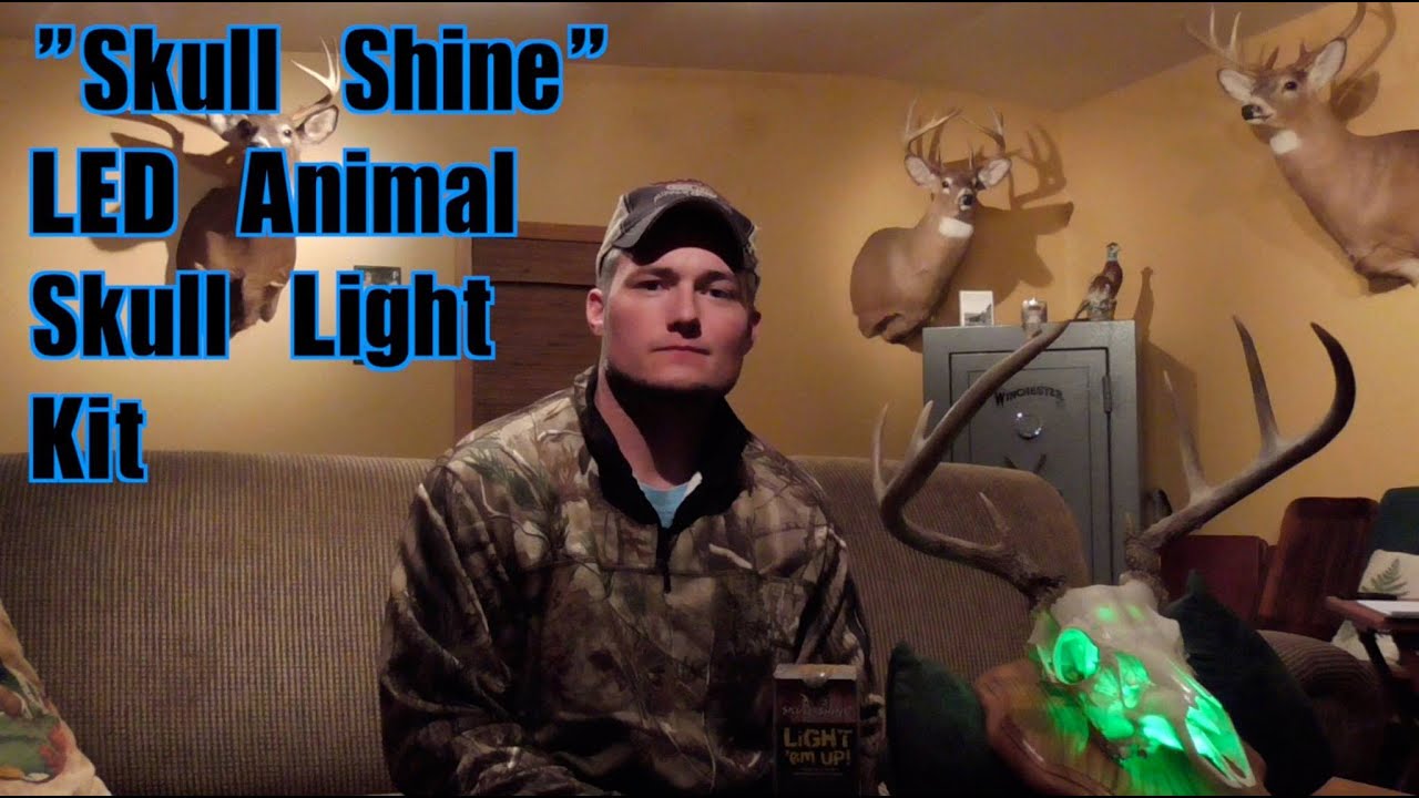 Skull Shine LED Skull Mount Lighting Kit