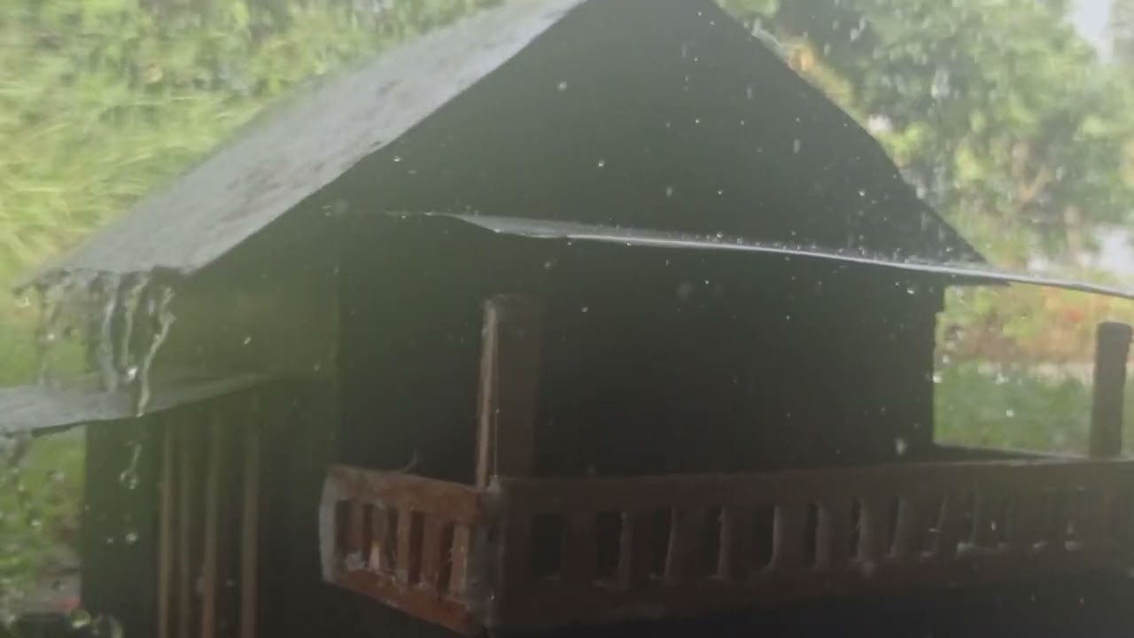 No Ads Rain Sounds for Sleeping – ASMR Calm Rain on Roof with Thunder