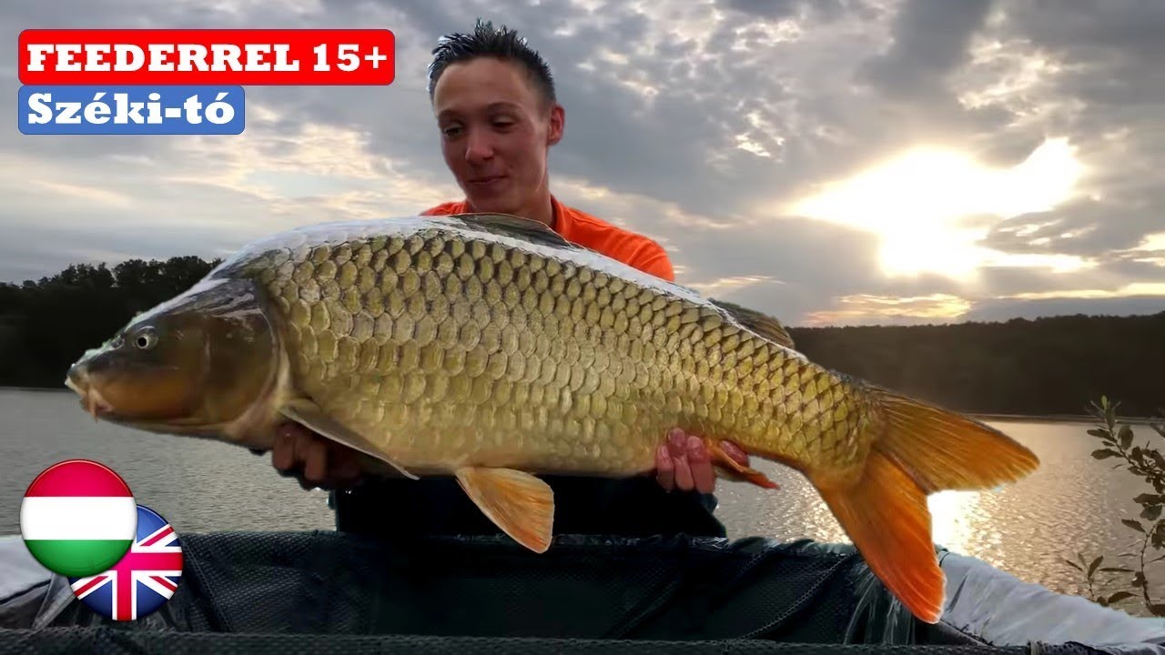 KAPITÁLIS NYURGAPONTY - A Széki-tó kincsei💪🤴 (The FishAIRMan 13. rész)