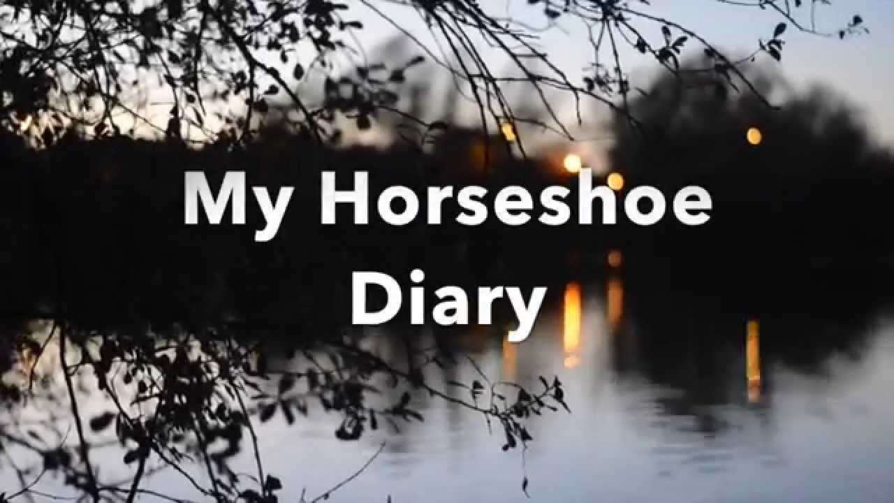 Carp Fishing Horseshoe Lake