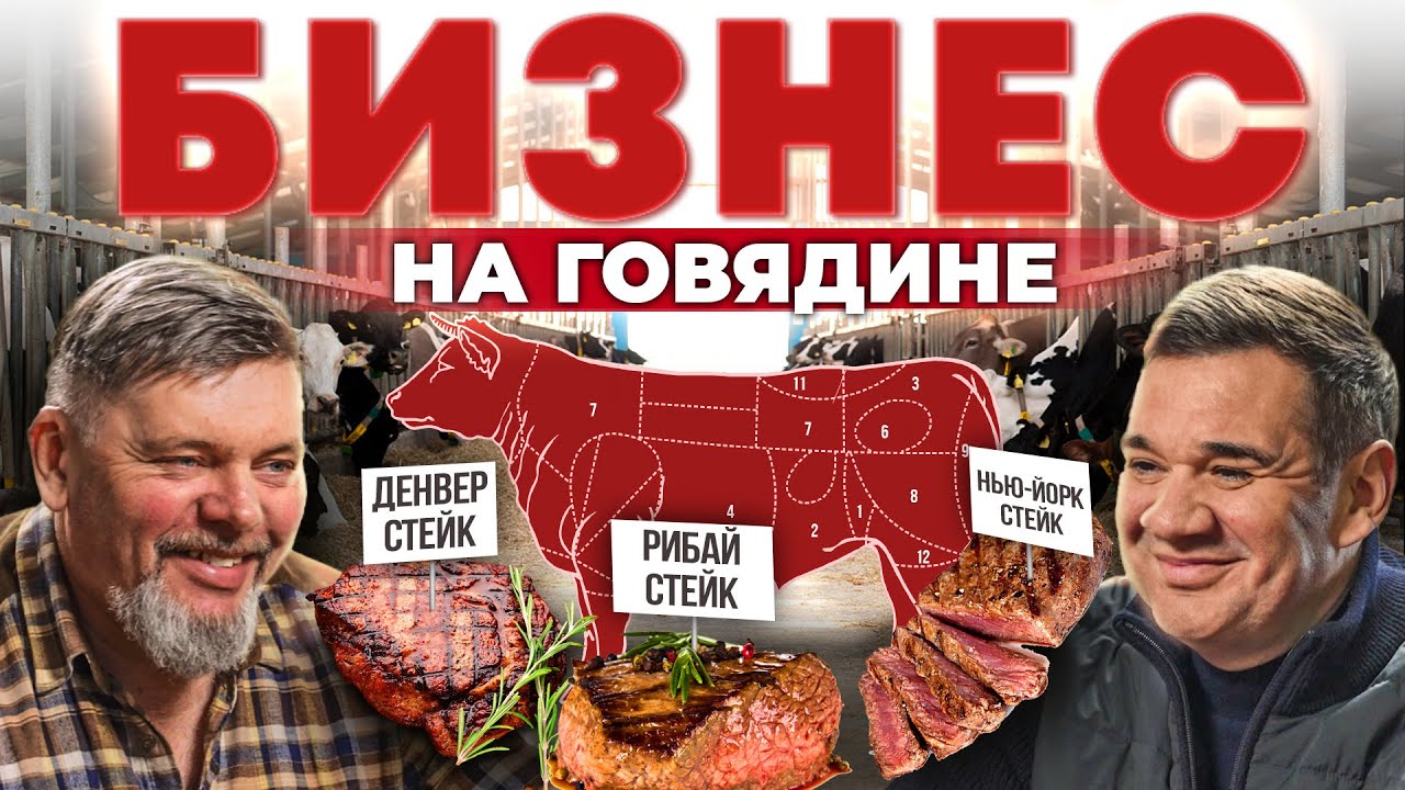 Коровы съедят весь бюджет! Мясное скотоводство. Говяжий стейк. Разведение коров. Андрей Даниленко