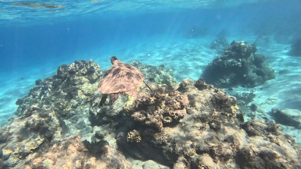 Maui- Ka'anapali Beach
