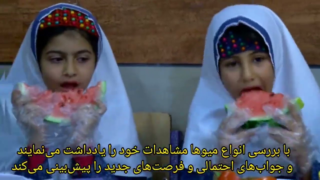 تدریس علوم دانه ها