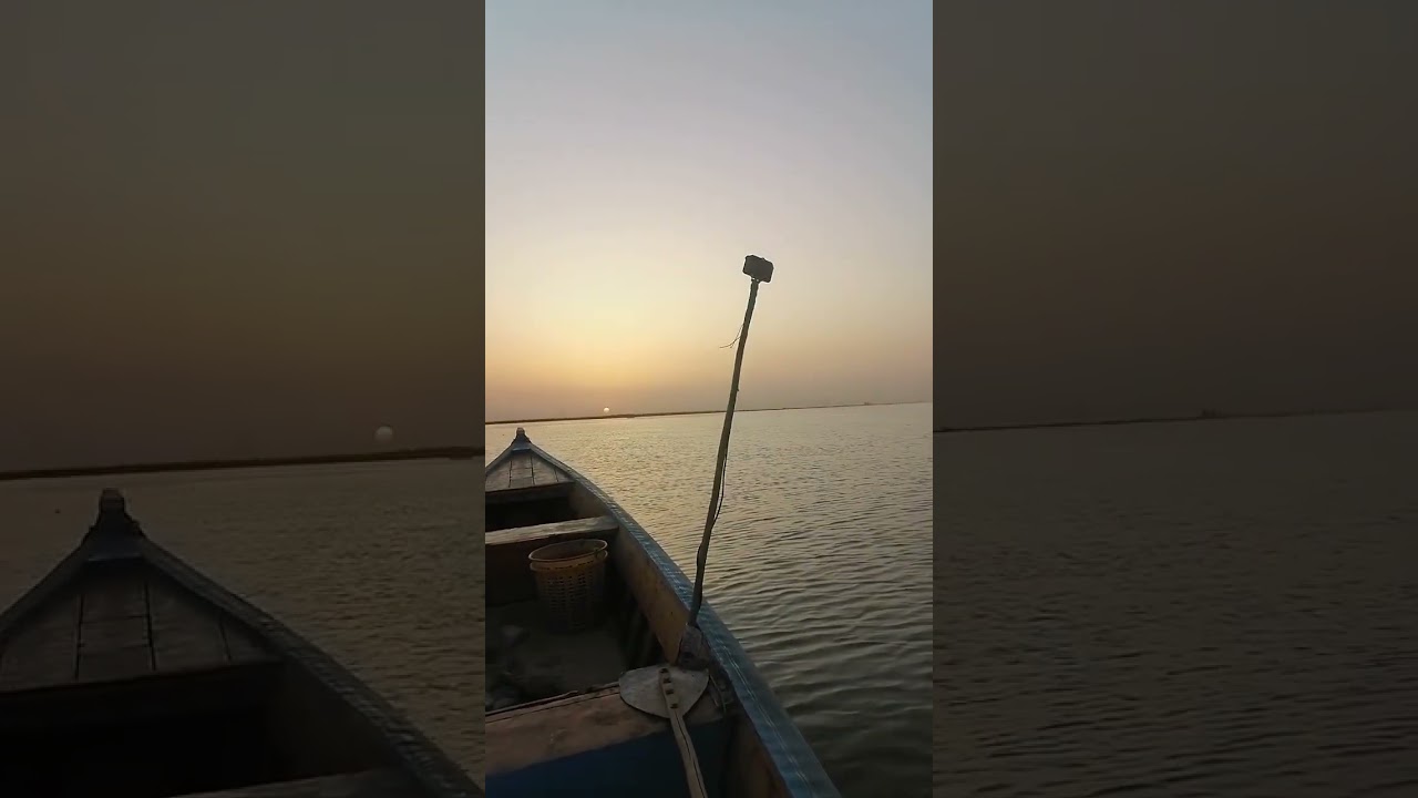 صبور صيد اليوم