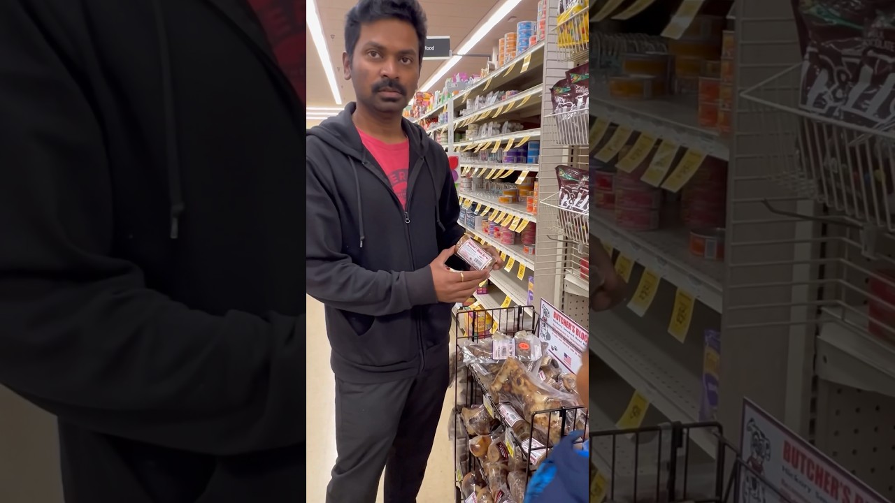 💥Americaல நாய்களின் Snacks💢#shorts #tamilvlog #shortsfeed #youtubeshorts #ytshorts #tamil #dog
