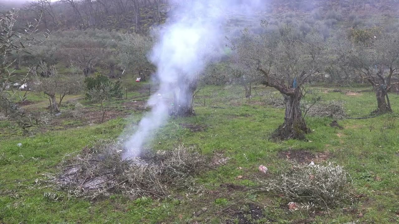 Haciendo algo de Humo