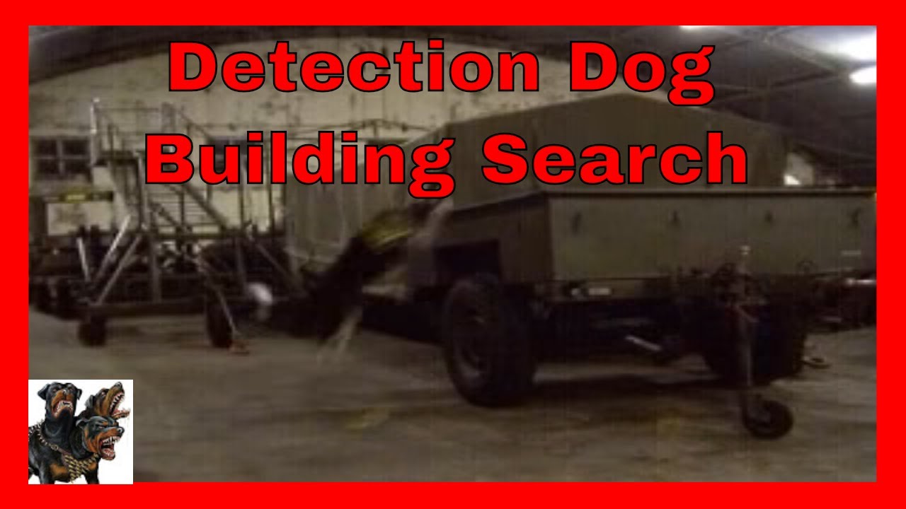 Detection Dog Search - Drugs Detection Free Search