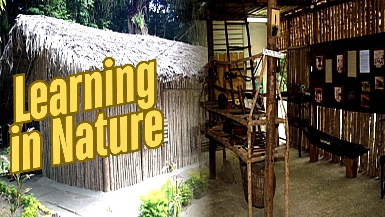Remembering Indigenous People - Cleaver Woods Park and Museum