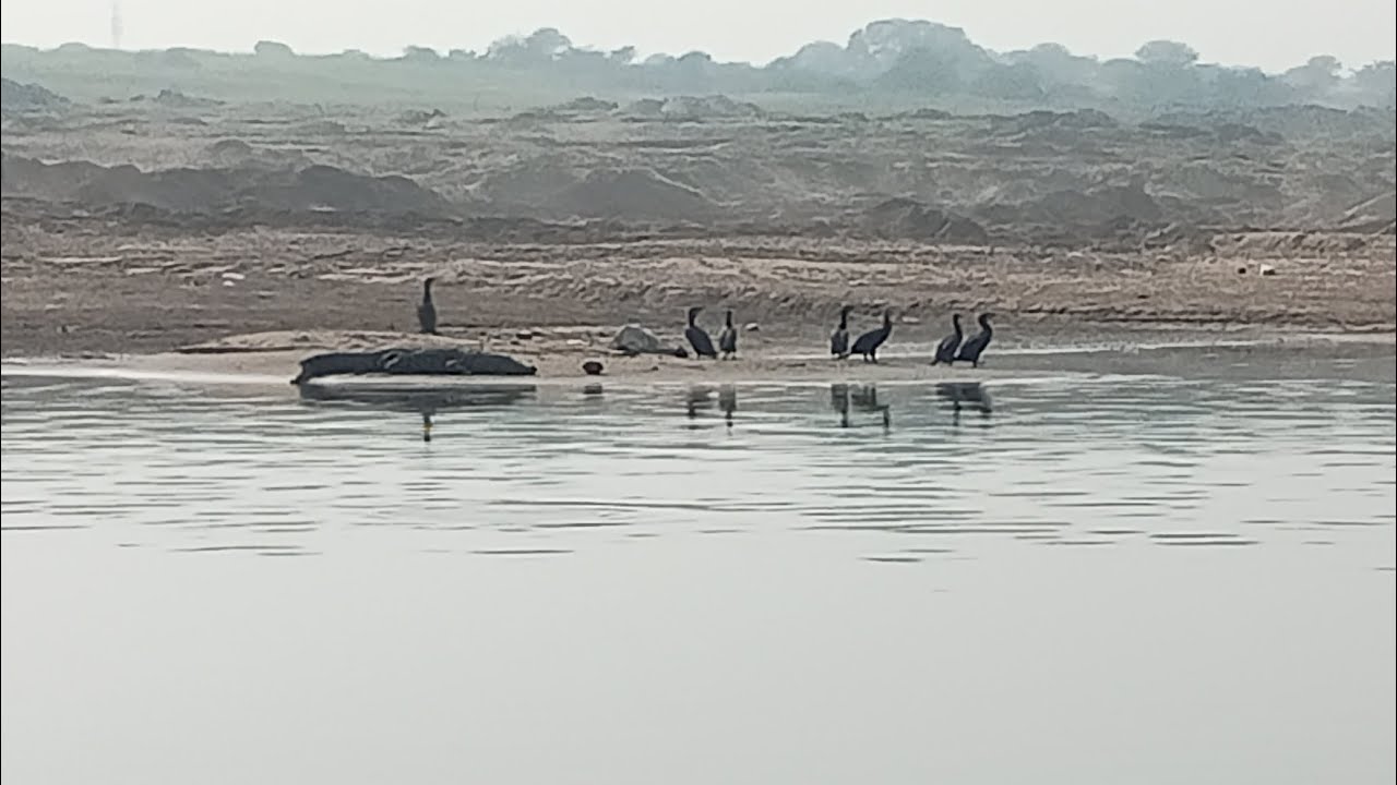 Chambal river and ghati bihad murena mp