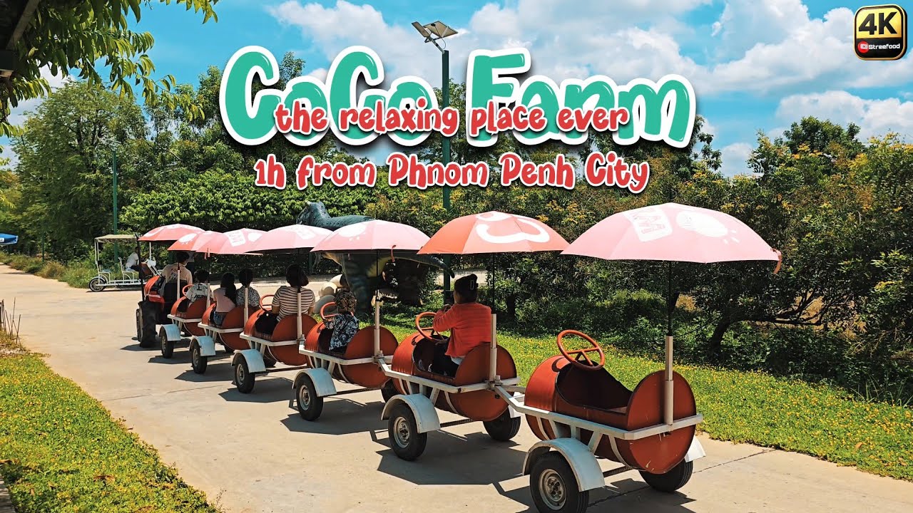 1h from Phnom Penh, made you happy with Coco Farm Cambodia [Discovery and Reflection, 4K60fps]