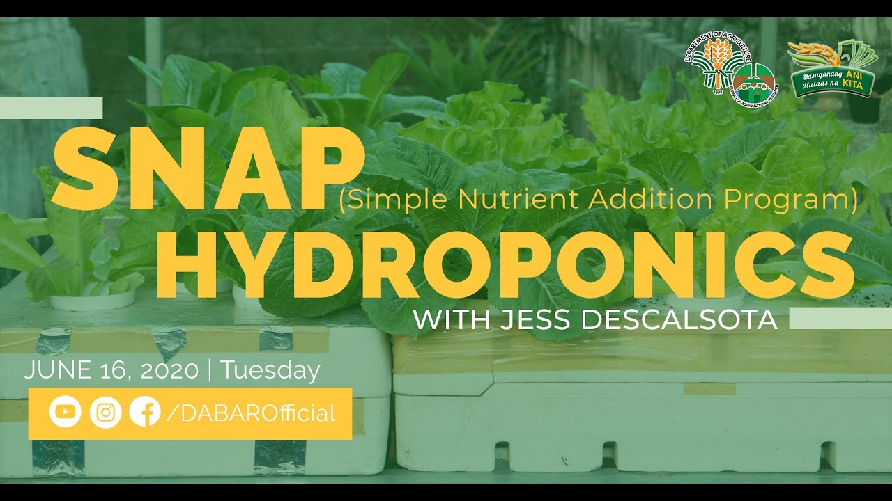 SNAP Hydroponics