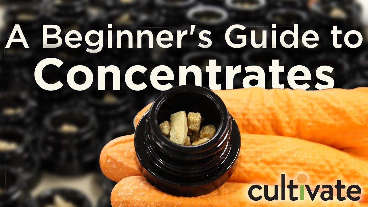 A Beginner's Guide to Concentrates