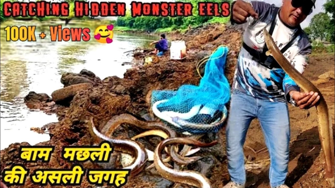 Amazing Big Baam Fishing in Muddy Flowing River||बाम मछली पकड़ने की तकनीक ||Best Eel fishing Place