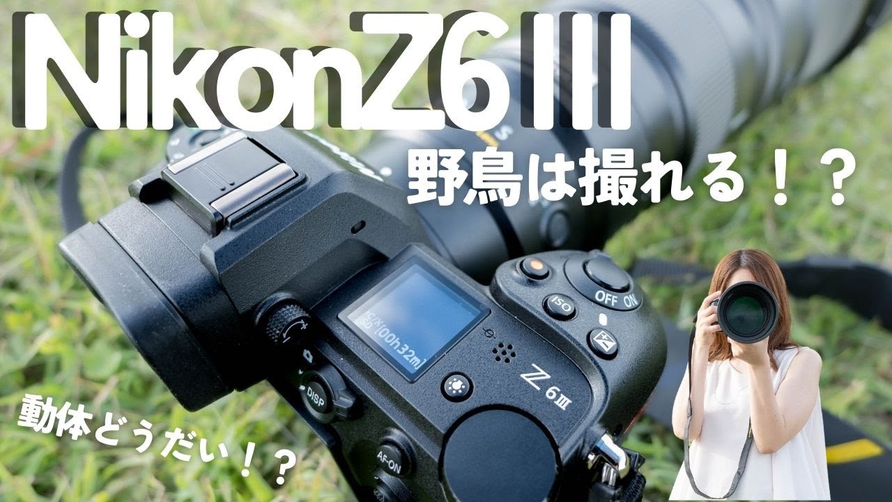 NikonZ6Ⅲで野鳥撮影！気になるポイントを一気にチェック