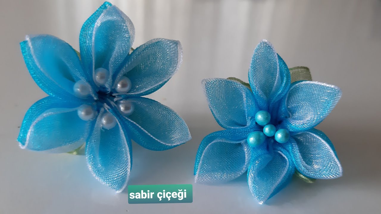 #3'ü #bir #arada #sabır #çiçeği bir videoda sabır çiçeğinin 3 farklı yapılısı