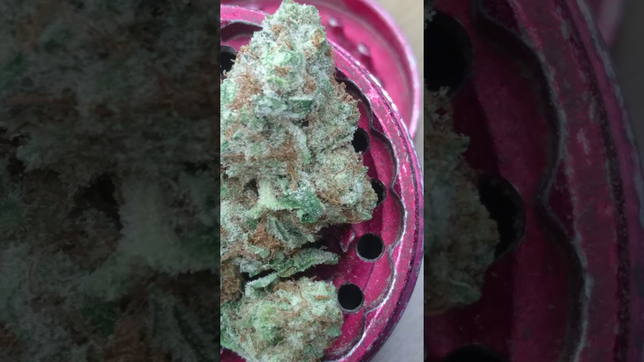 Uk grown cannabis (CRITICAL MASS)