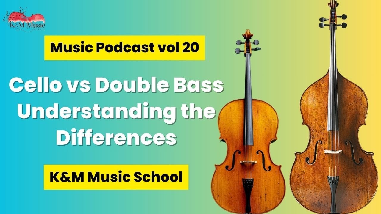 Cello vs Double Bass 🎻 Understanding the Key Differences