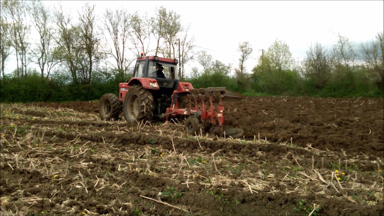 CASE IH 1255 XL aux Labours 2015: Saône et Loire