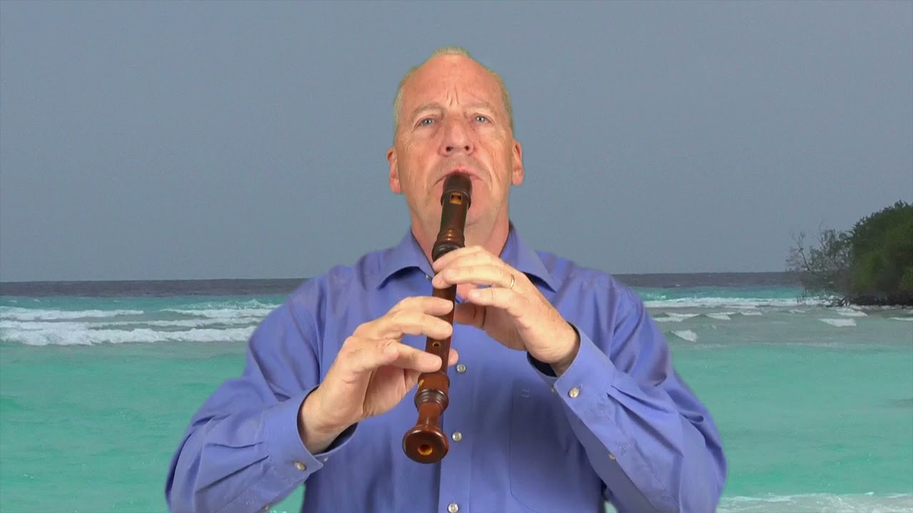 Wellerman (Sea Shanty) mit Altblockflöte