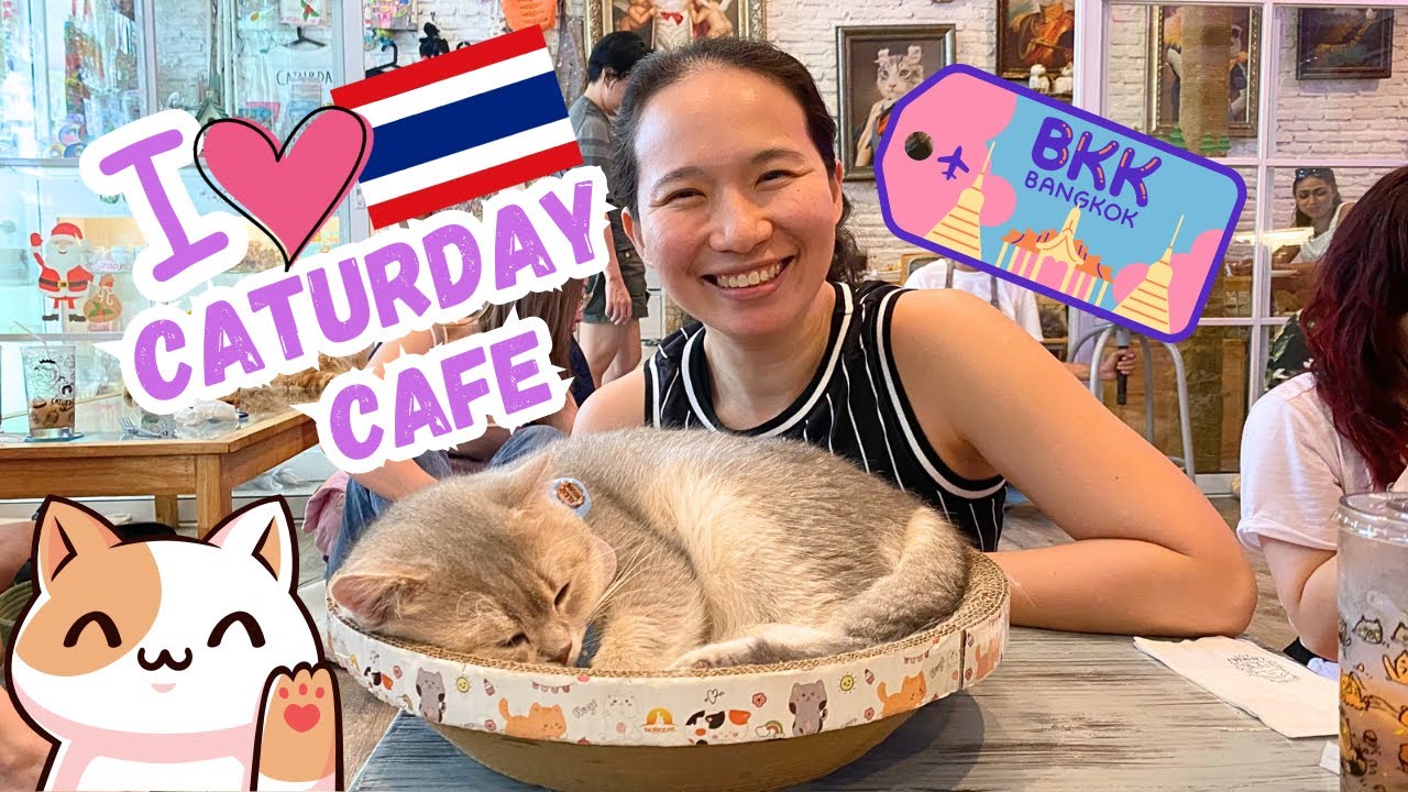 Caturday Cafe Bangkok - Our favourite Cat Cafe in Thailand