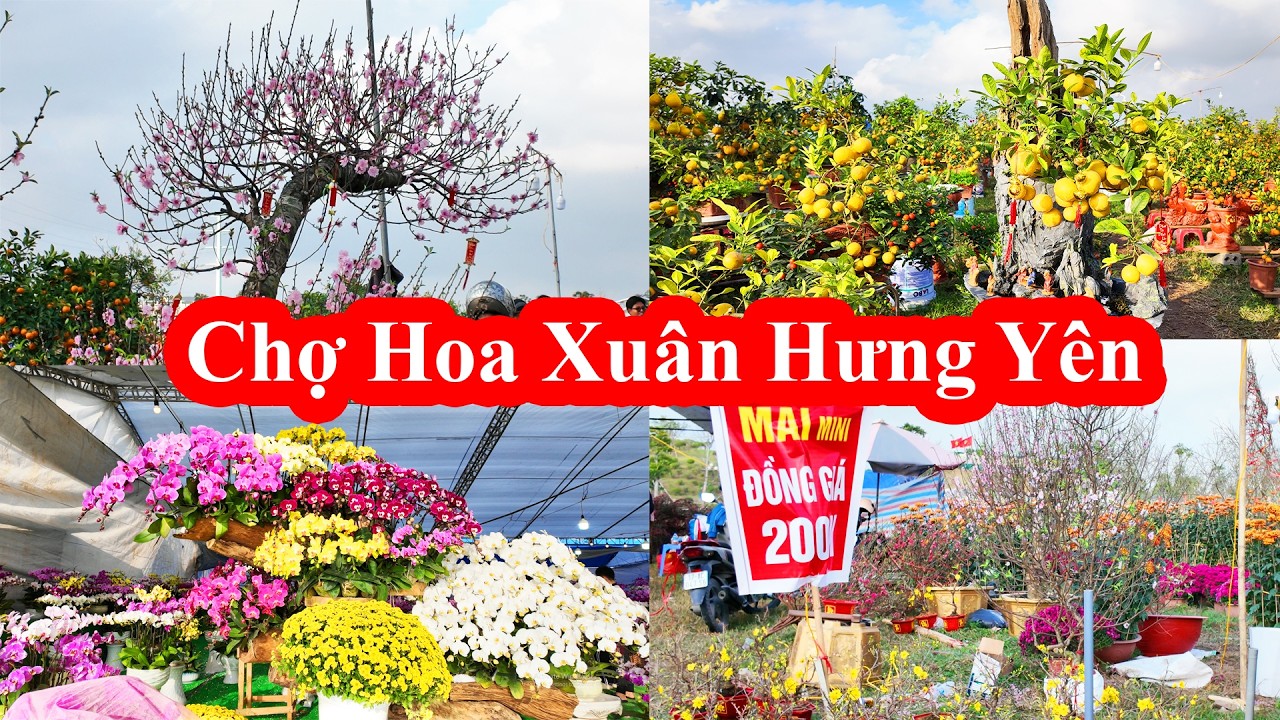 Chợ hoa Tết Thái Bình (cũ) đông nghẹt người – không khí Tết về thật rồi