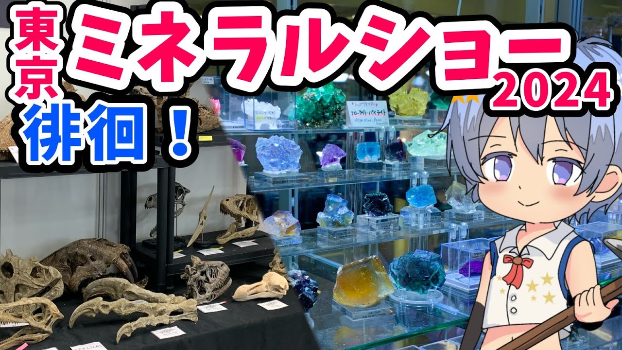 【池袋ミネラルショー2024レポ！💎】今年最後！日本最大級の石の祭典！（鉱石Vtuber）＃鉱石 ＃宝石 ＃ミネラルショー ＃化石 #vtuber  ＃石