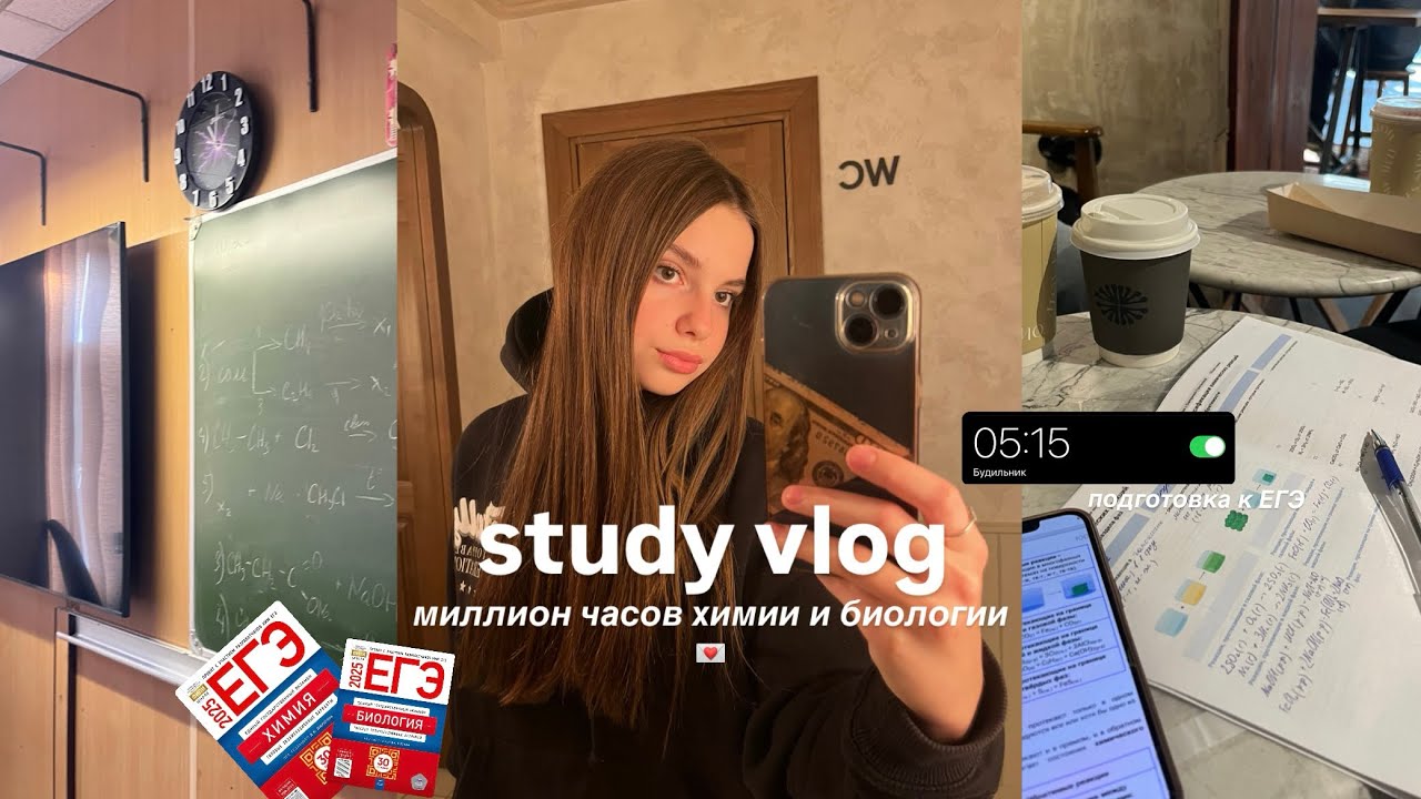 study vlog / очень много учебы и подготовки к егэ химбио🧪🤍