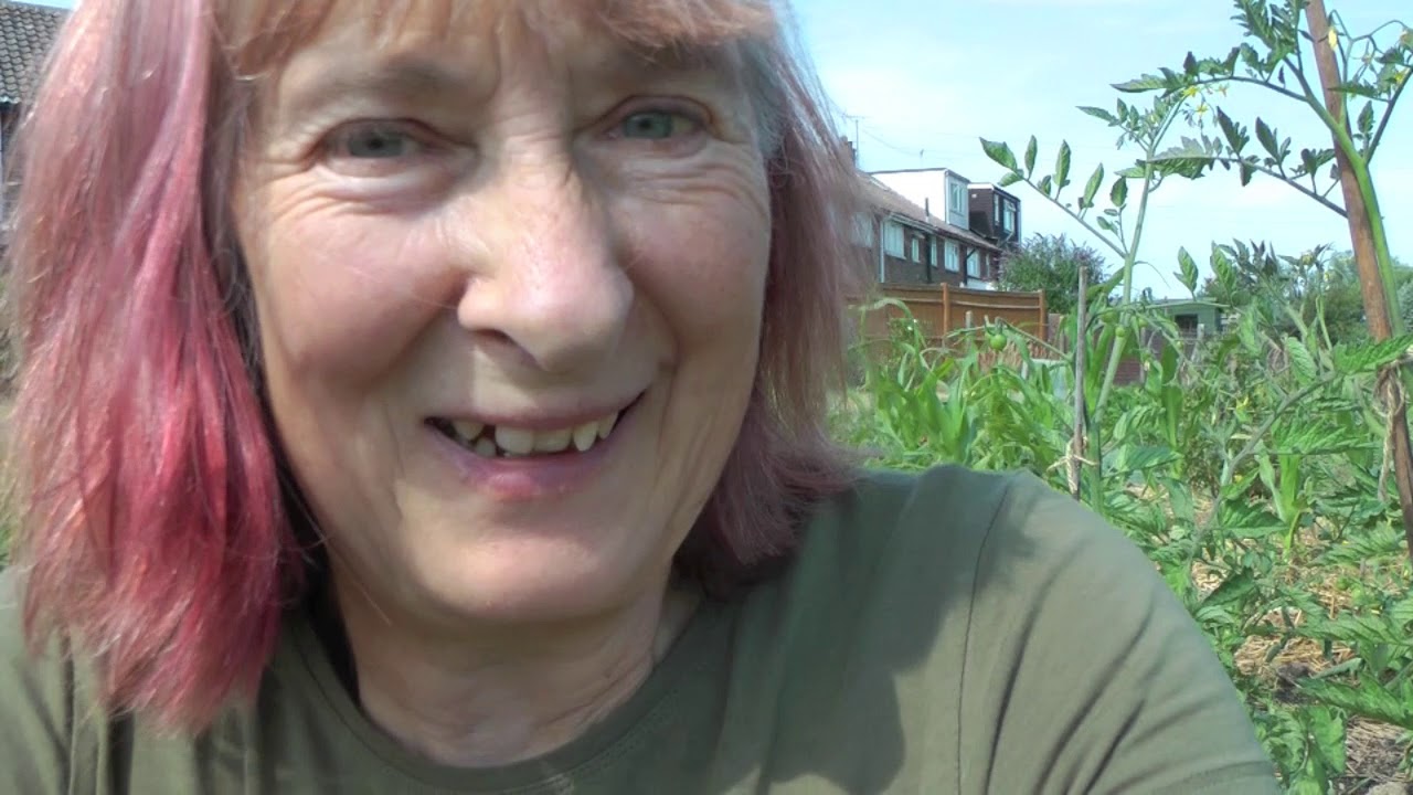 Allotment vandalism and plant growth update 19th July 2018