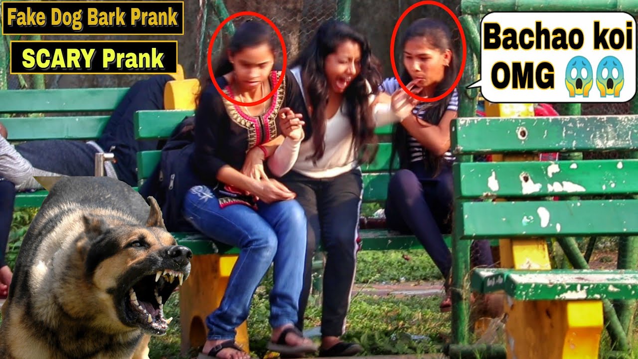 Fake Dog Bark Prank - Girl's Gone Mad | Epic Reactions| Pranks In India| @PrankBuzz | By TCI