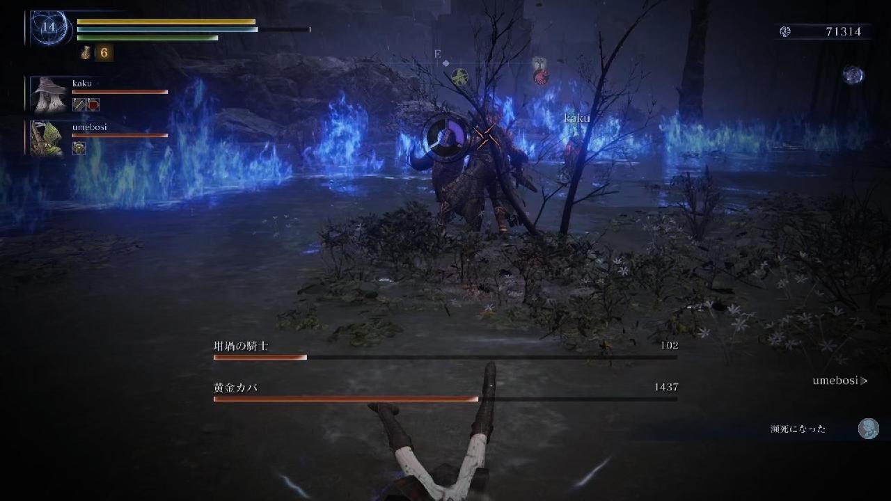 ELDEN RING NIGHTREIGN_深度5リブラ