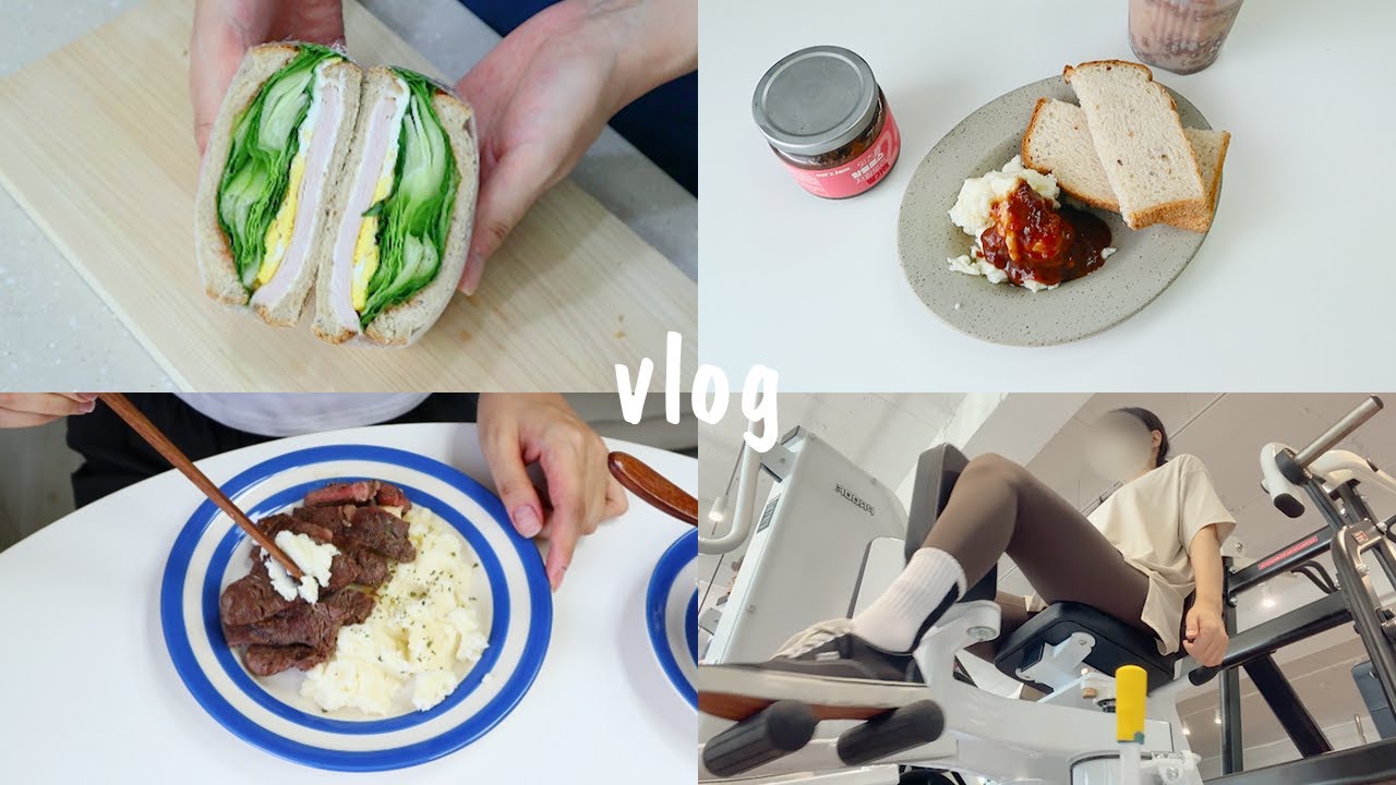다이어트일상vlog. 헬스를 시작했던 주간 I 식단 그릇 쇼핑과 집에서 만든 주말 브런치 I 닭가슴살 카레밥 I 고단백 다이어트 샌드위치 I 보니타하우스