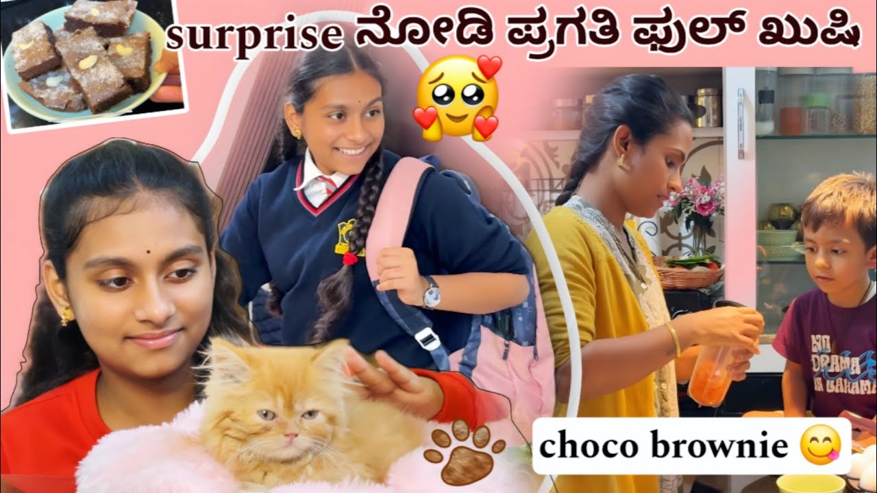 ✨ಮನಸ್ಸು ಮಾಡಿ cat ತಗೊಂಡು ಬಂದ್ವಿ🐱💖 ಪ್ರಗತಿ Reactions ನೋಡಿ ಹೇಗಿತ್ತು?😍✨ Sweet moments ಗೆ choco brownie 🍫