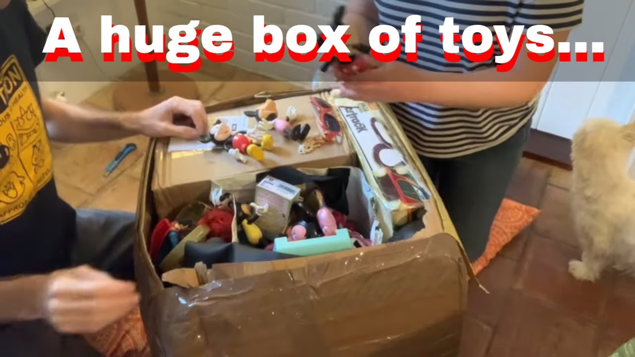 This mystery box of toys arrived at out house...