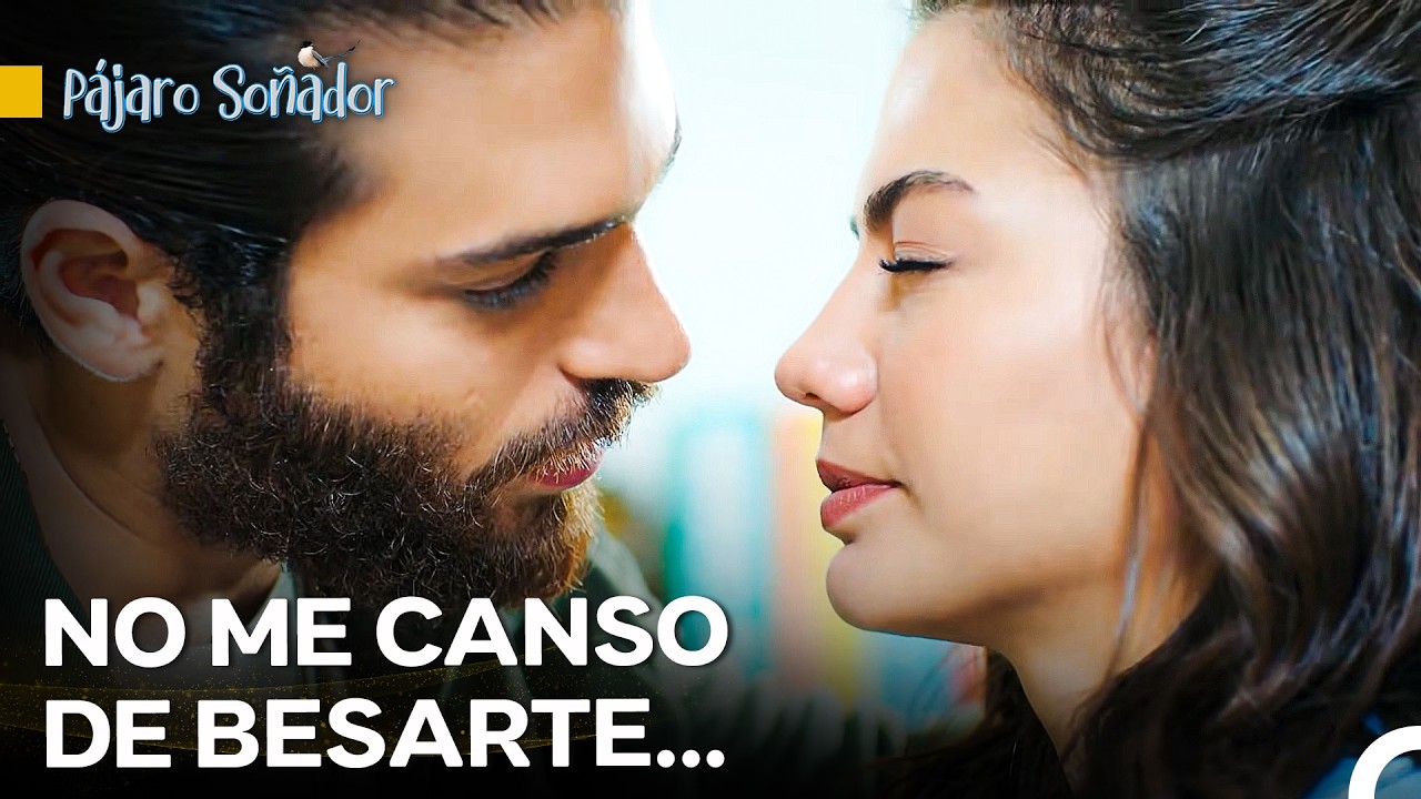 Los Ataques De Amor De Can Continúan - Pájaro Soñador
