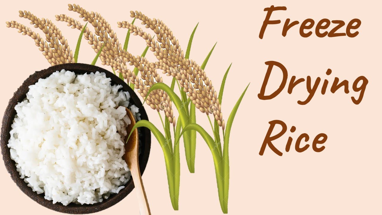 Freeze Dried Rice