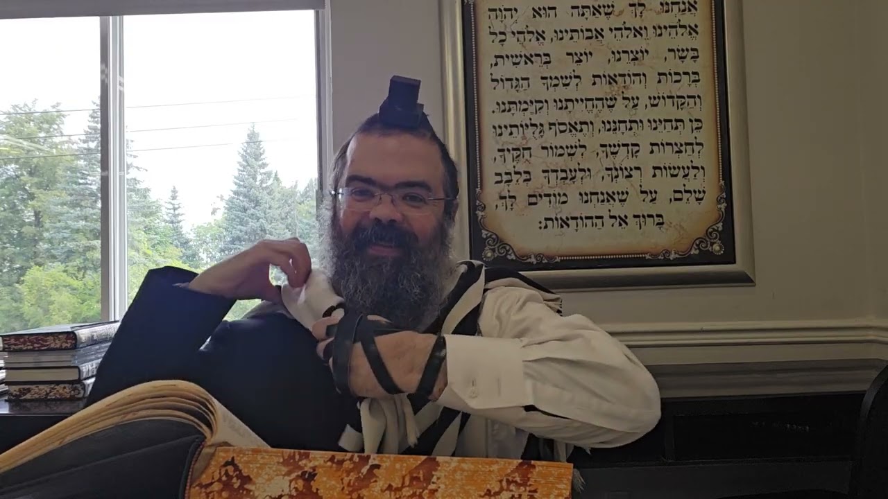 Gemara Pessachim 2025-08-08 (10B & 11)