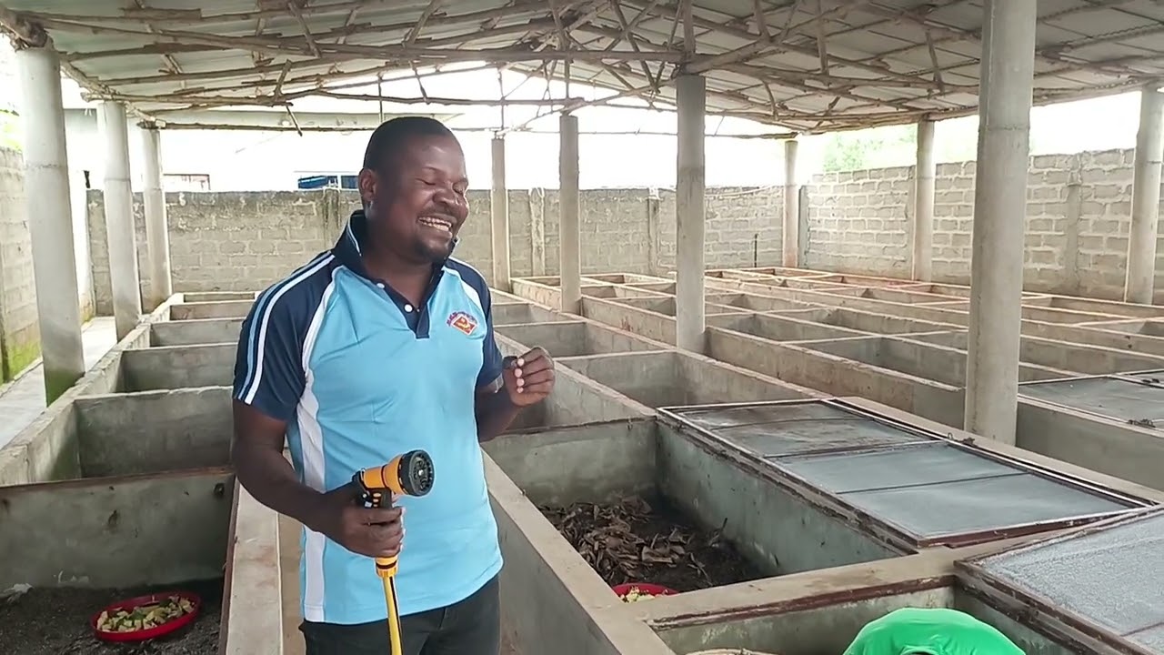 Comment peut on avoir de gros escargots géants d'Afrique en moins de six mois d'âge ?