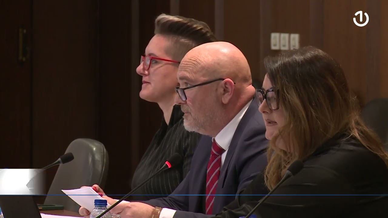 Plate i odlazak kontrolora leta: BHANSA pod lupom parlamentaraca