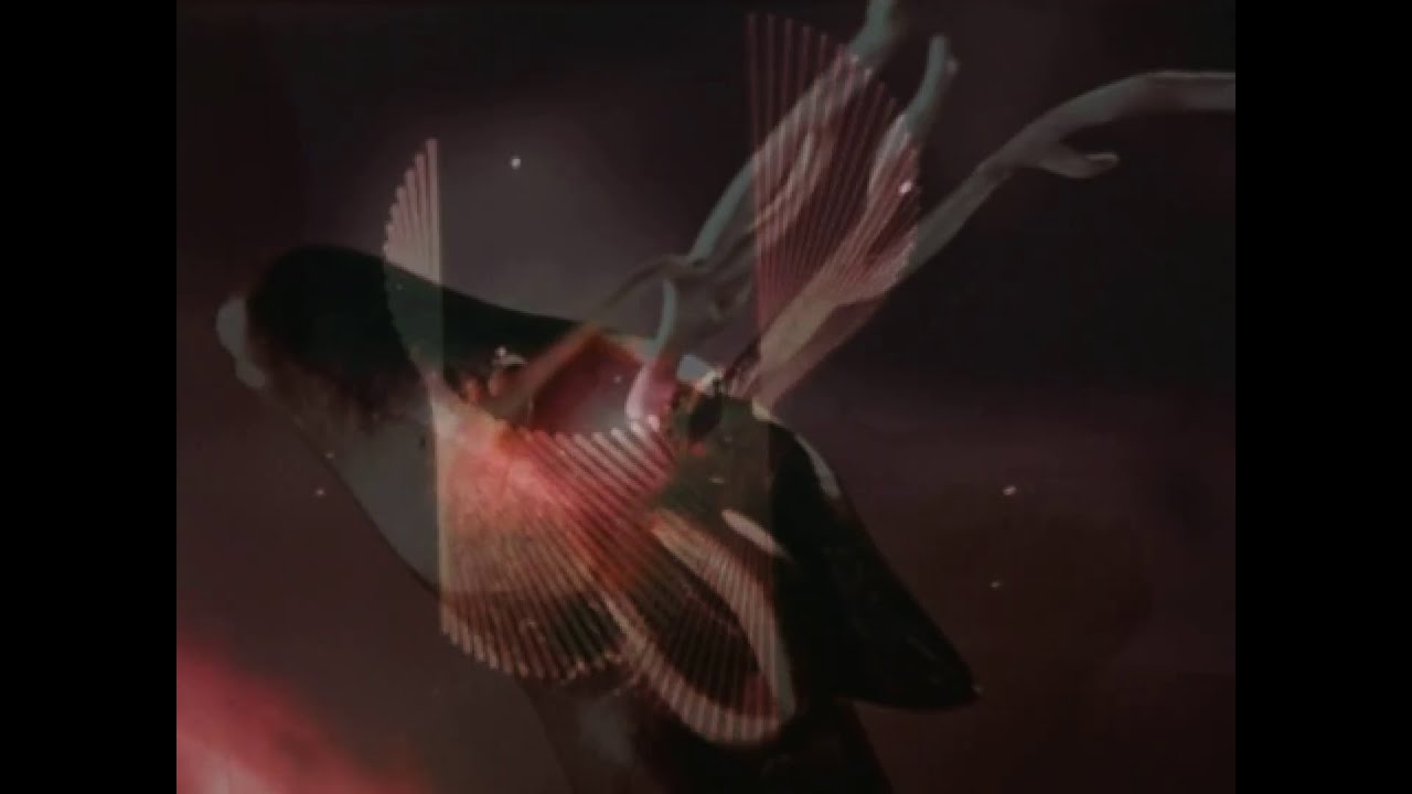 Kilim Mosh &ndash; Weedling (teaser)