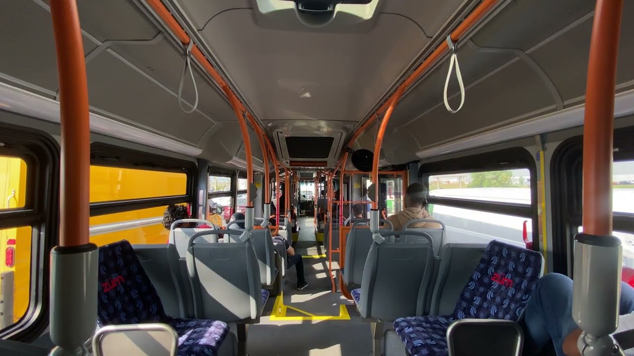 (First day of service) Brampton Transit 2024 New Flyer Xcelsior XD60 on route 511C Zũm Steeles