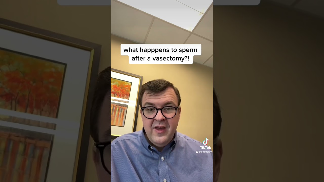 what happens to sperm after a #vasectomy?