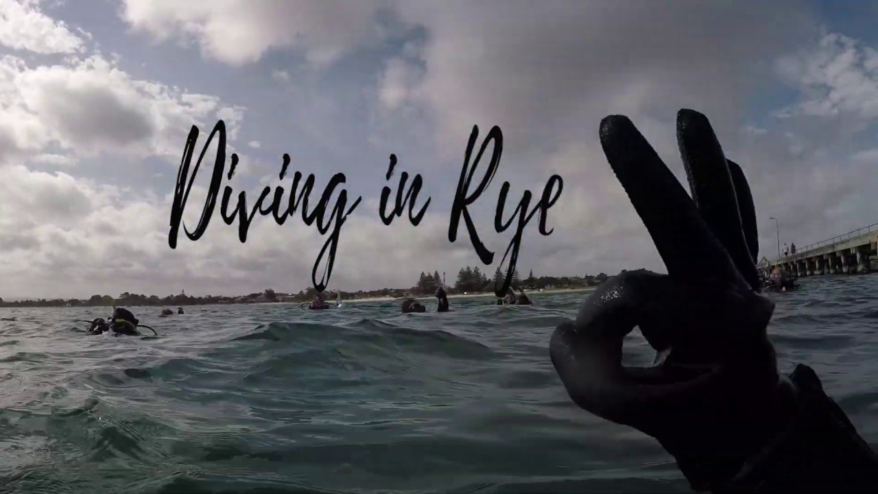 Diving in Melbourne (Rye Pier) with Academy of Scuba