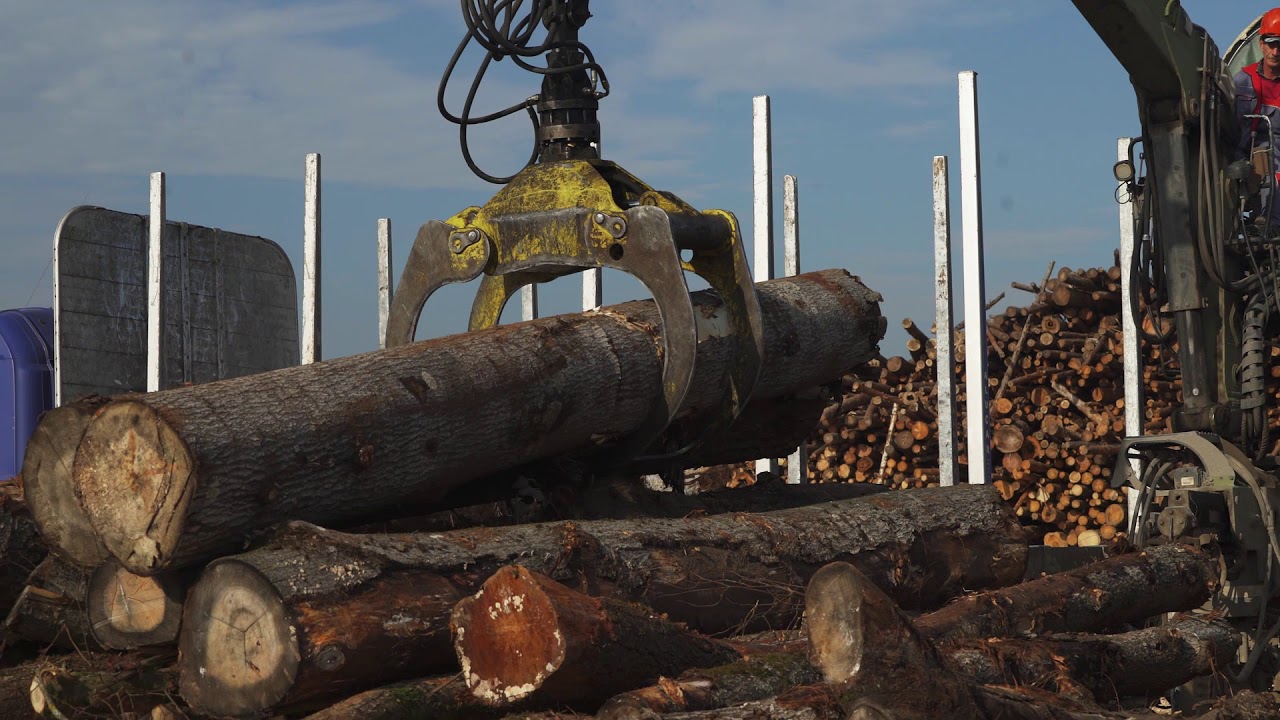 WeHeat wood chips production process