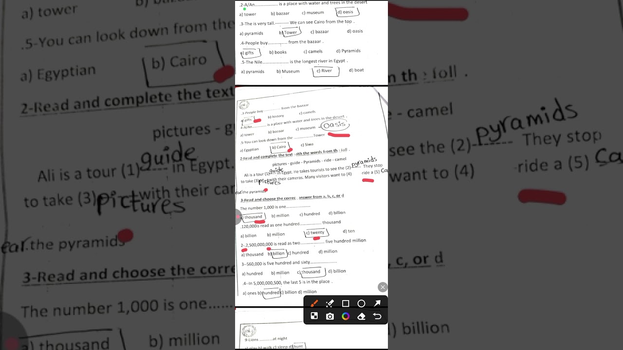 25 نوفمبر 2025