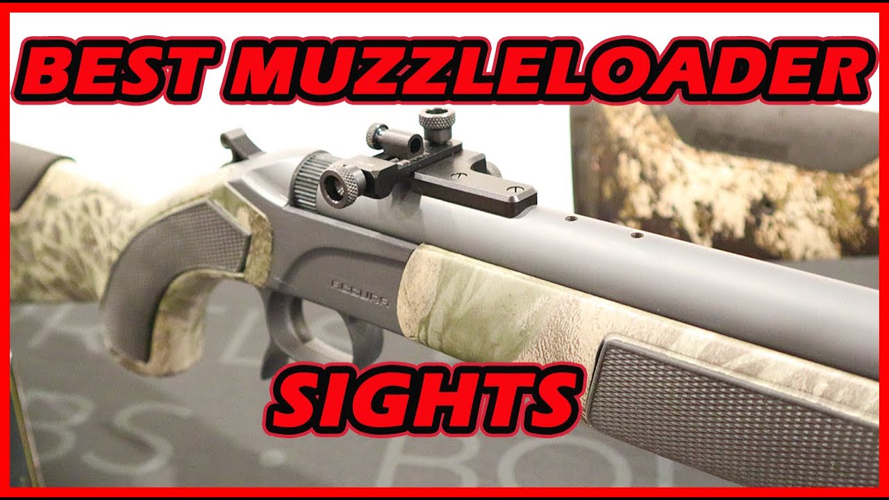 Unlocking Precision: Best Muzzleloader Sight Options For Your Muzzleloader | Anarchy Outdoors