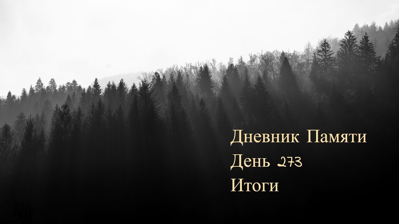 Дневник Памяти. День 273. Итоги